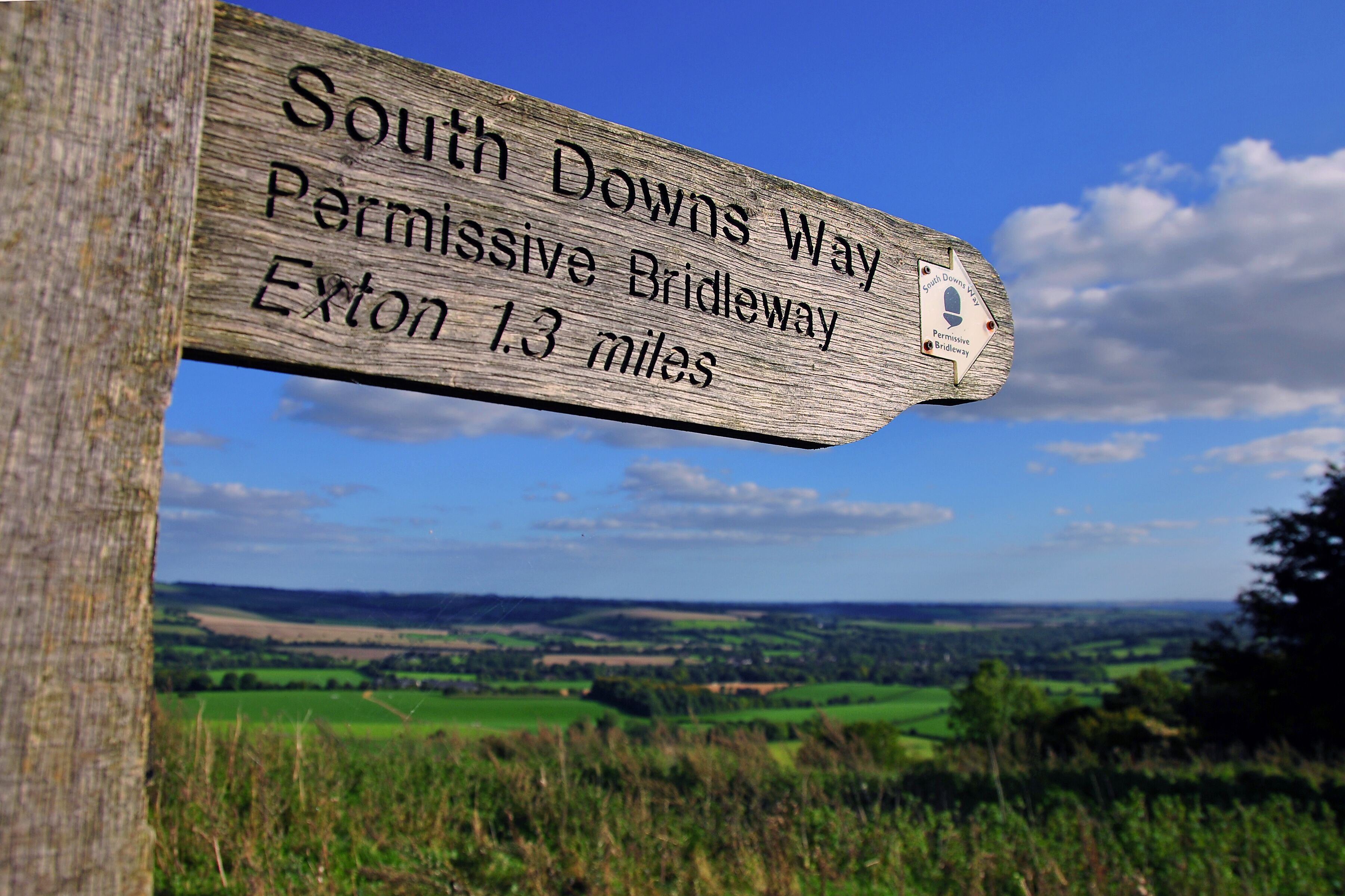 South Downs in Hampshire from Beacon Hill, England, United Kingdom