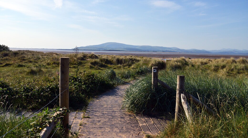 ๋ฐฐ๋ก์ฐ ์ธ ํผ๋์ค ๊ตฌ