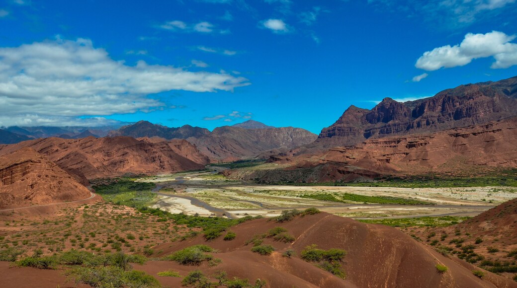 Département de Chicligasta