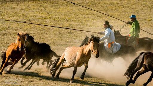Wranglers II 正蓝旗 - 内蒙古 Zhenglanq Inner Mongolia
"人生過客匆匆,相機抓住每個剎那,與我擦肩而過的人和事"