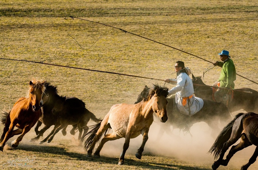 Wranglers II 正蓝旗 - 内蒙古 Zhenglanq Inner Mongolia
"人生過客匆匆,相機抓住每個剎那,與我擦肩而過的人和事"