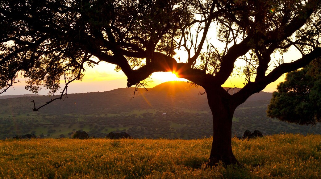 Garciaz, Las Villuercas, Caceres, Extremadura, Spain, Europe
