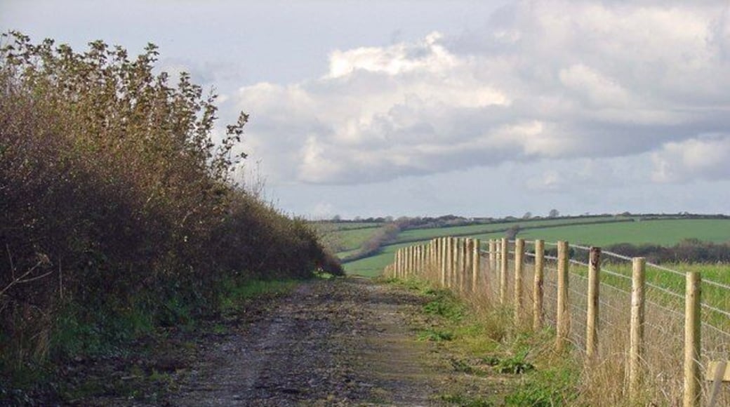 Newly laid track This leads down into the small un-named valley to the west, where an off-road vehicle training ground has been established.