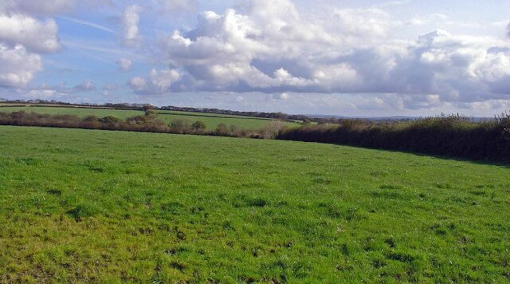 Pasture near Wood Park, New Moat