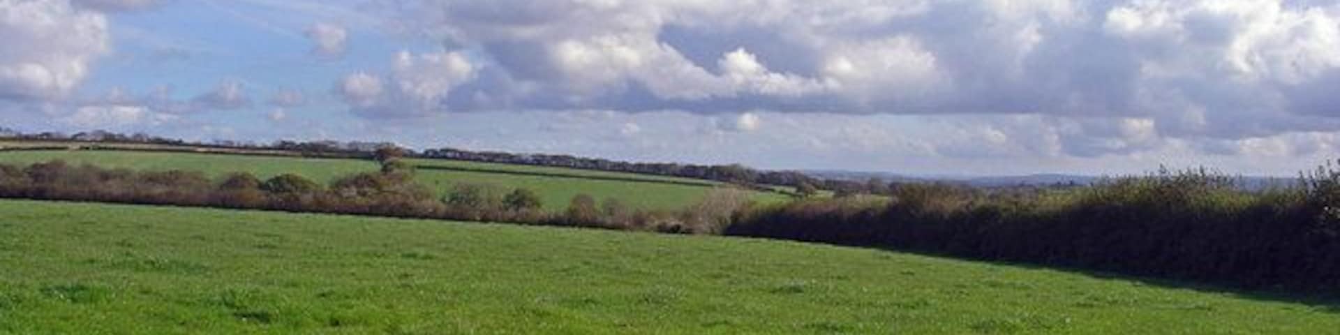 Pasture near Wood Park, New Moat