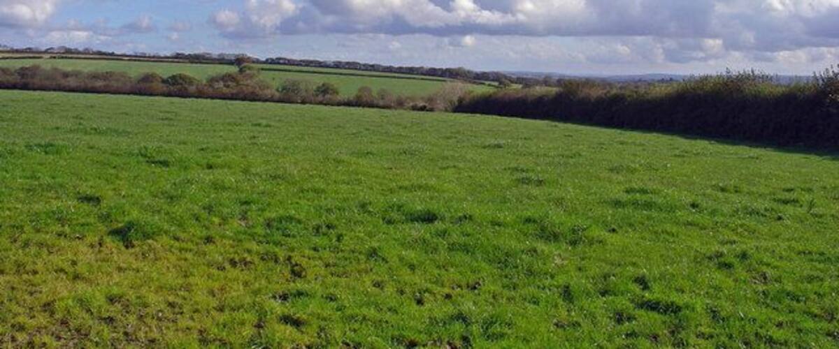 A green field with a line of bushes in the distance and a cloudy sky.