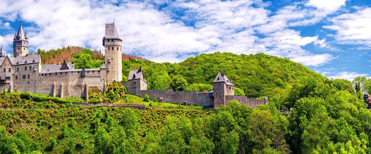 A castle on a hill surrounded by lush greenery.