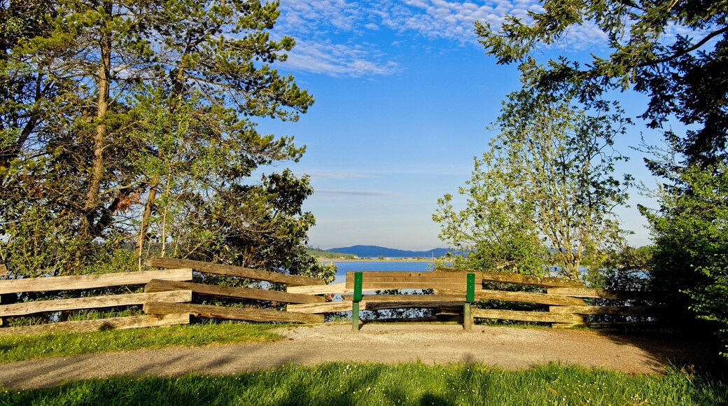 Bench overlooking the ocean shore in the park in Central Saanich, BC