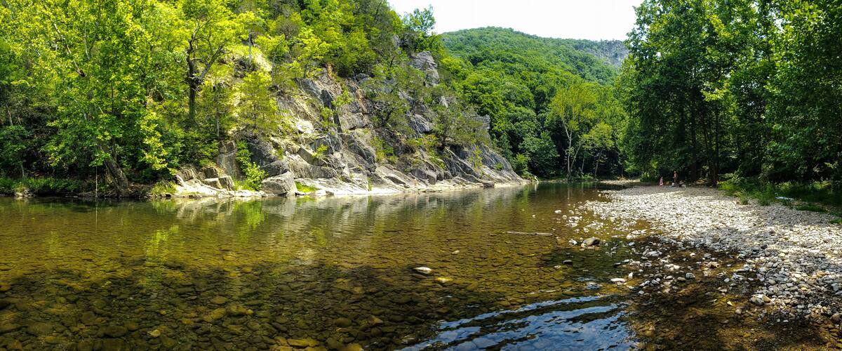 A clear river with rocky banks and dense green forest.