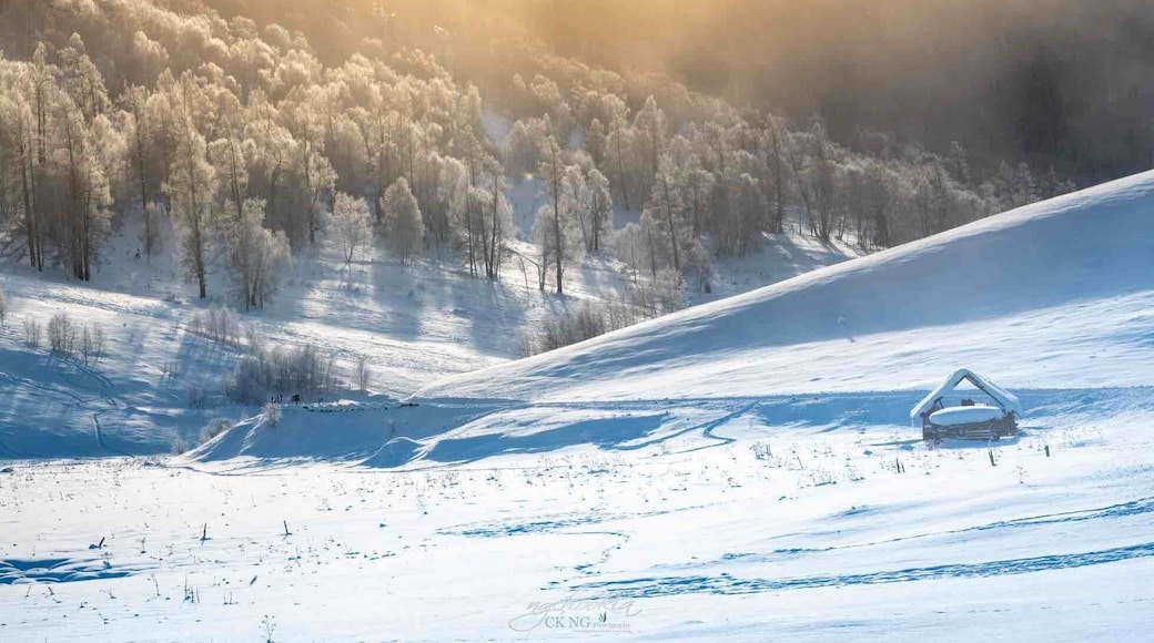 Winter Landscape II Xinjiang