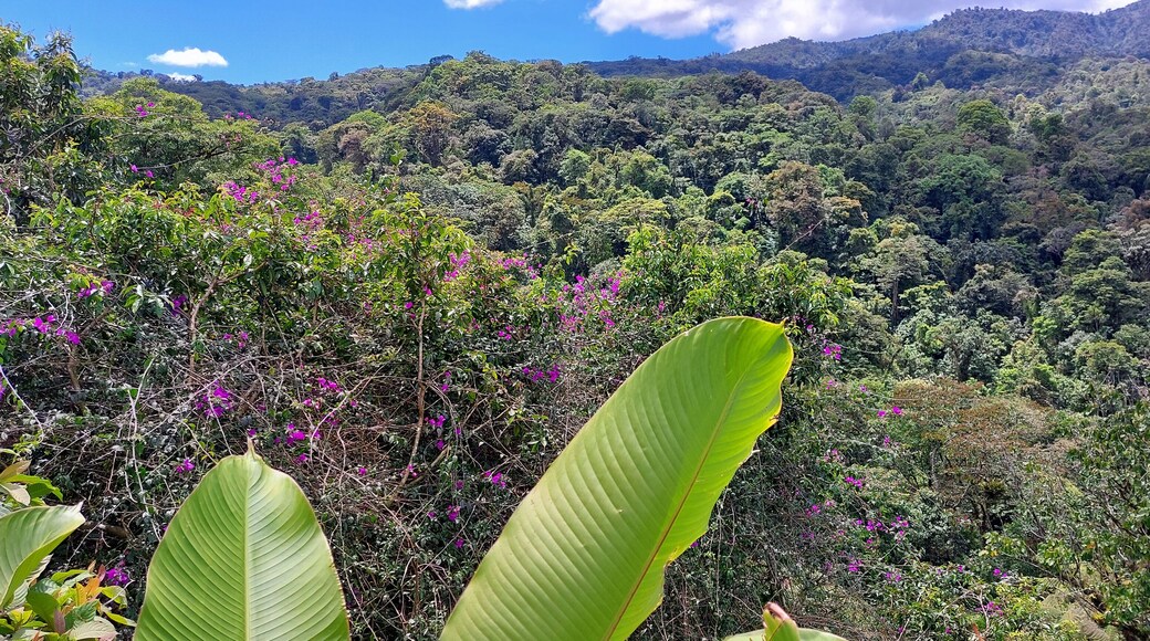 landscape view of la paz waterfall gardens park in costa rica