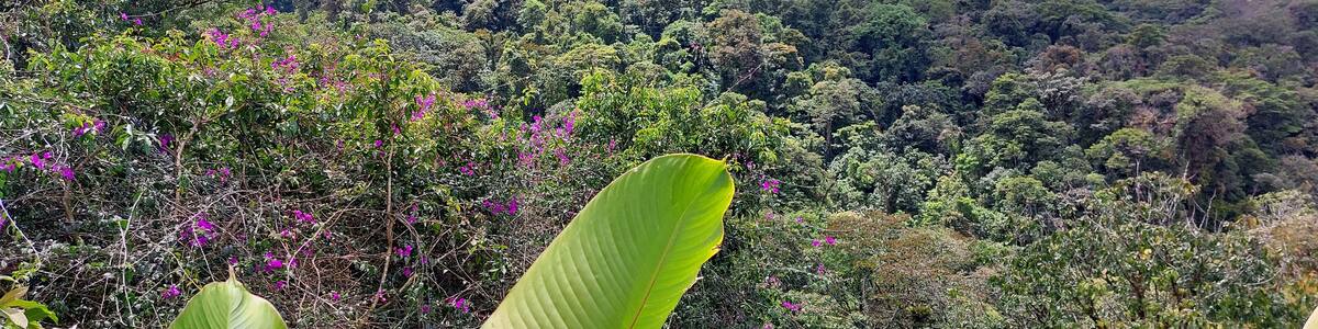 landscape view of la paz waterfall gardens park in costa rica