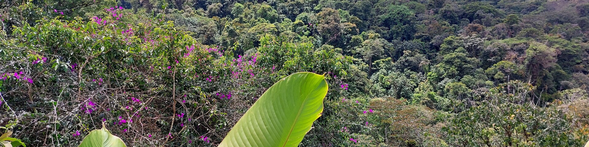 landscape view of la paz waterfall gardens park in costa rica