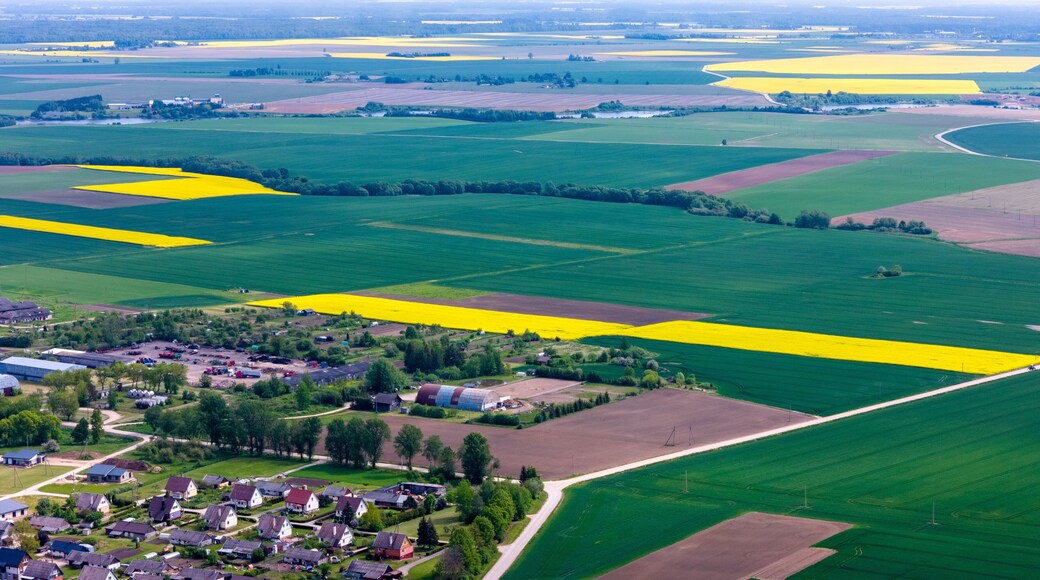 Pelėdnagių seniūnija