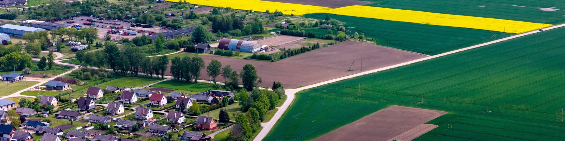 Sunny Day Over Yellow Rapeseed Fields in Kėdainiai District, Lithuania