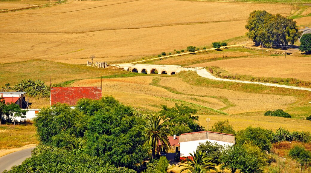 Campiña de Carmona
