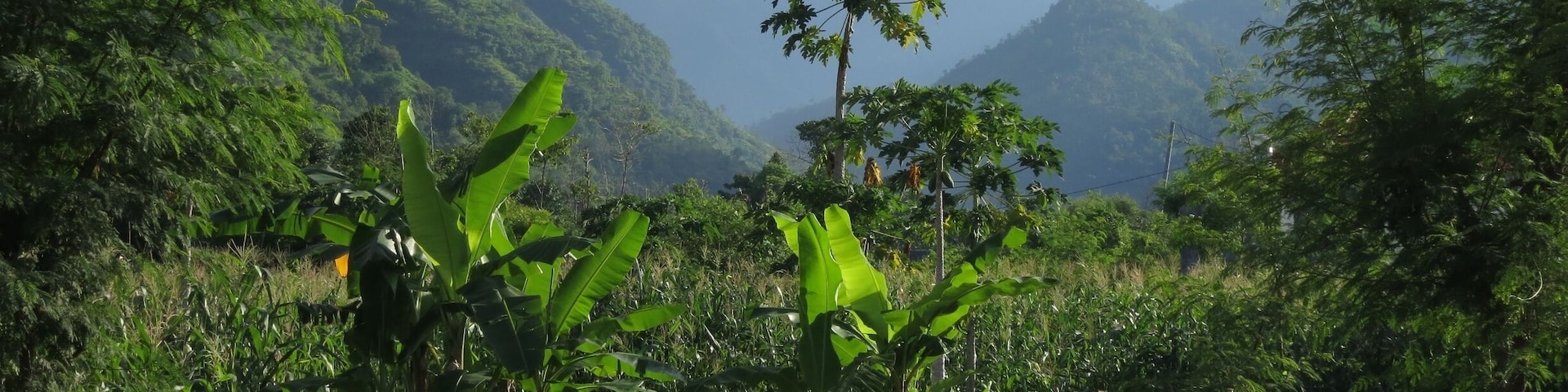 The drive along the cost of east Bali is quite beautiful! This shot was near Ahmed...So Gorgeous on the back of a moto!