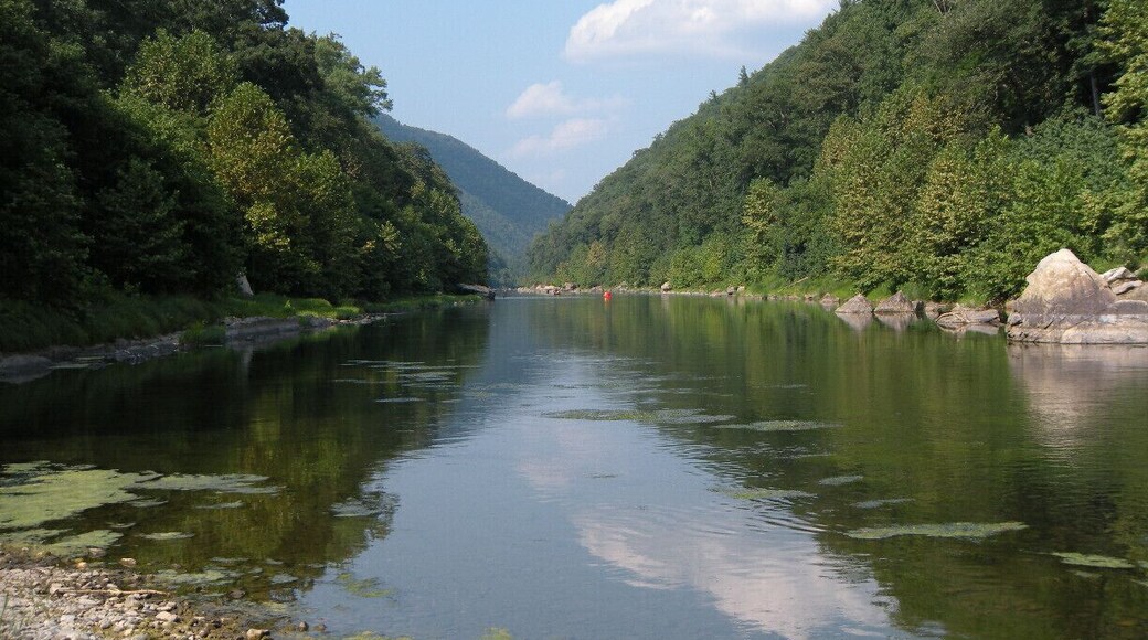 #localgem
#TroveOn
#weekendgetaway
West Virginia really is wild and wonderful. A cookout on the South Branch of the Potomac River bundled together with a float in a canoe or kayak is an end of Summer tradition. If you are lucky, on a warm clear day, you may even see the Eagles that make their homes in the surrounding mountains.