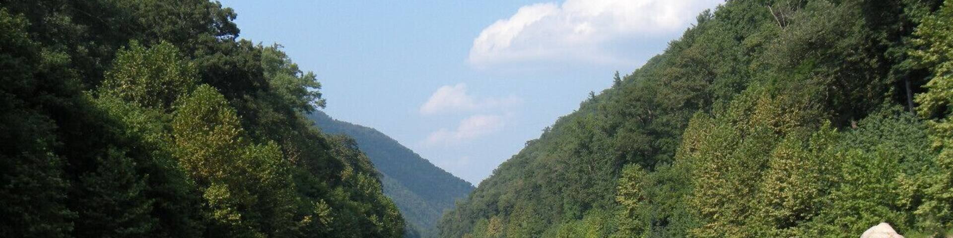 #localgem
#TroveOn
#weekendgetaway
West Virginia really is wild and wonderful. A cookout on the South Branch of the Potomac River bundled together with a float in a canoe or kayak is an end of Summer tradition. If you are lucky, on a warm clear day, you may even see the Eagles that make their homes in the surrounding mountains.