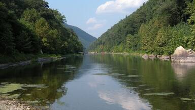 #localgem
#TroveOn
#weekendgetaway
West Virginia really is wild and wonderful. A cookout on the South Branch of the Potomac River bundled together with a float in a canoe or kayak is an end of Summer tradition. If you are lucky, on a warm clear day, you may even see the Eagles that make their homes in the surrounding mountains.