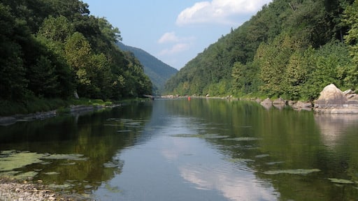 #localgem
#TroveOn
#weekendgetaway
West Virginia really is wild and wonderful. A cookout on the South Branch of the Potomac River bundled together with a float in a canoe or kayak is an end of Summer tradition. If you are lucky, on a warm clear day, you may even see the Eagles that make their homes in the surrounding mountains.