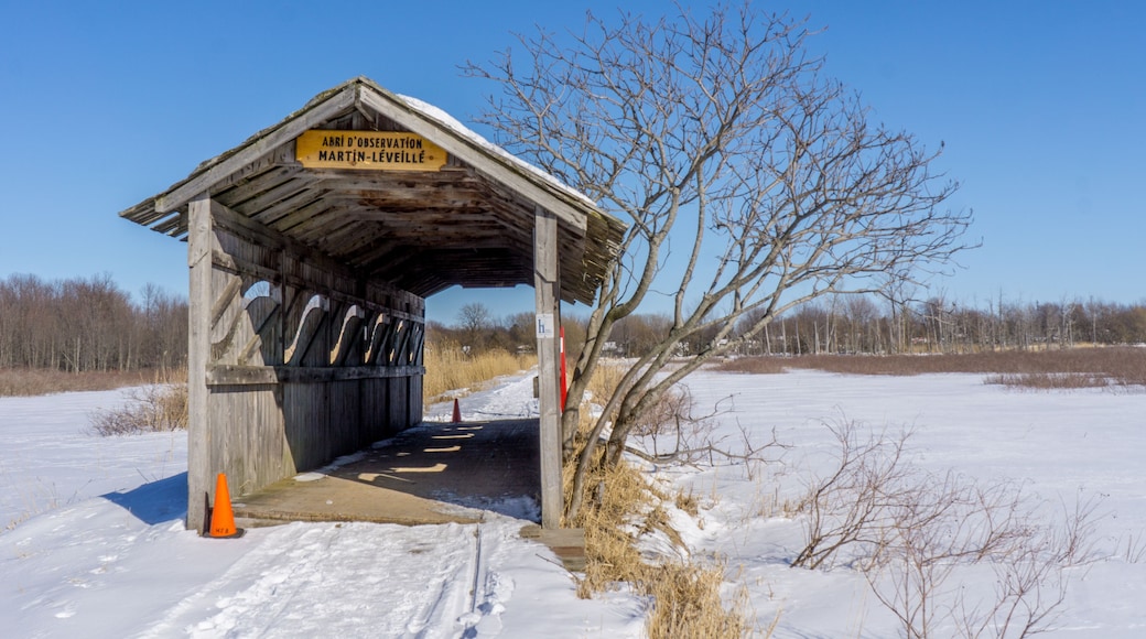 Marguerite-D'Youville