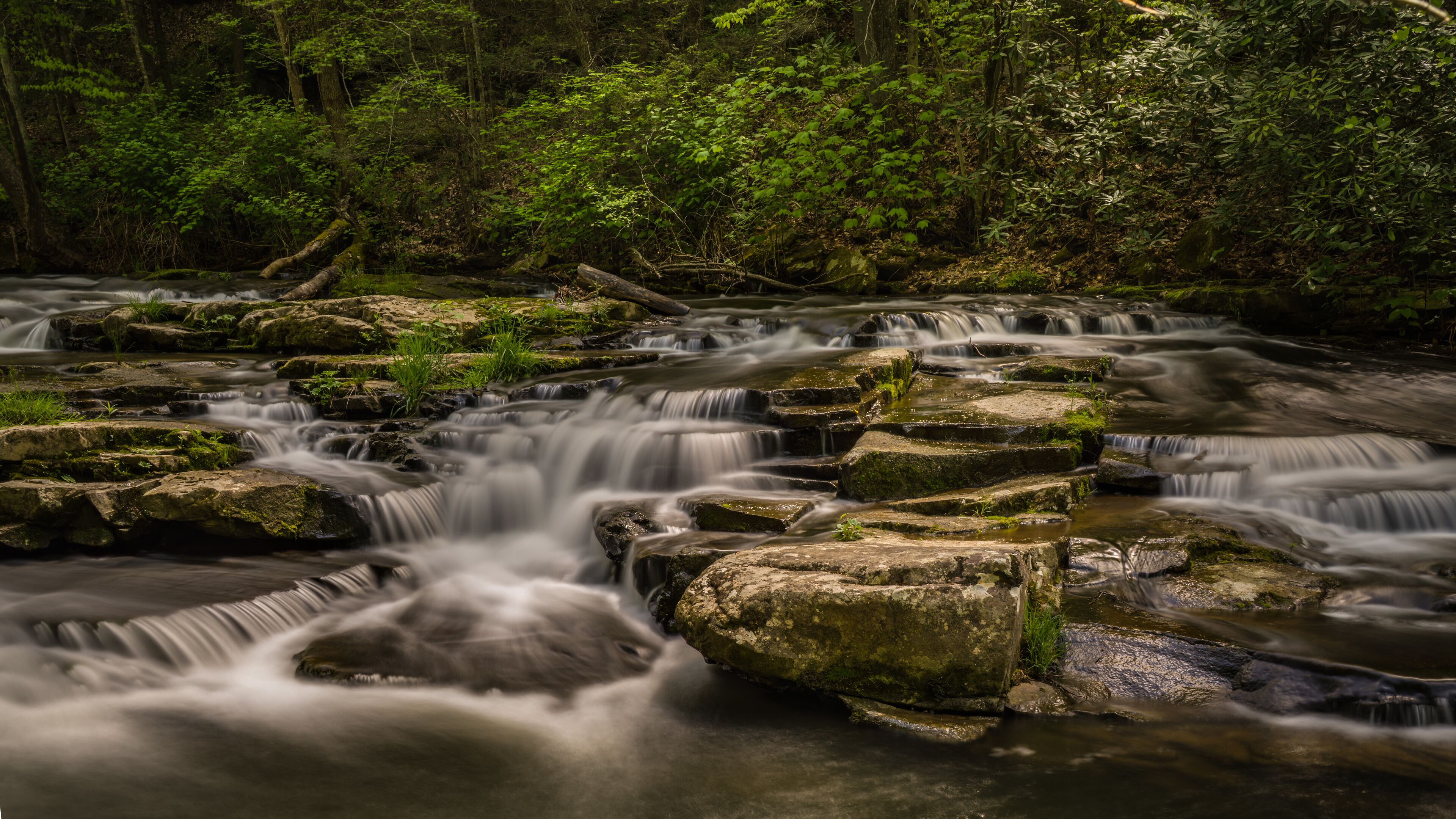A flowing river with multiple cascades over rocks, surrounded by dense forest.