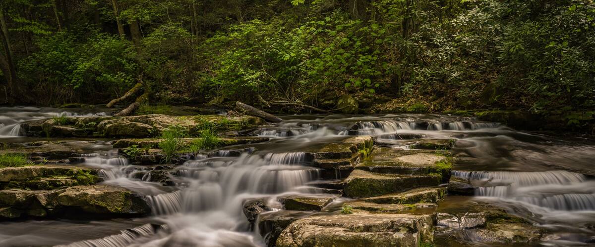 A flowing river with multiple cascades over rocks, surrounded by dense forest.