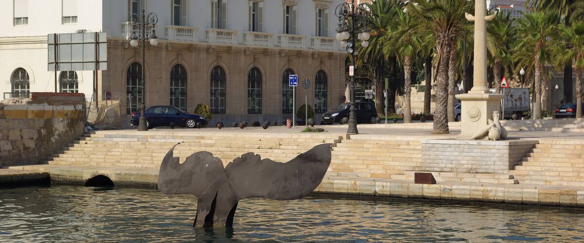 CARTAGENA PUERTO MUELLE