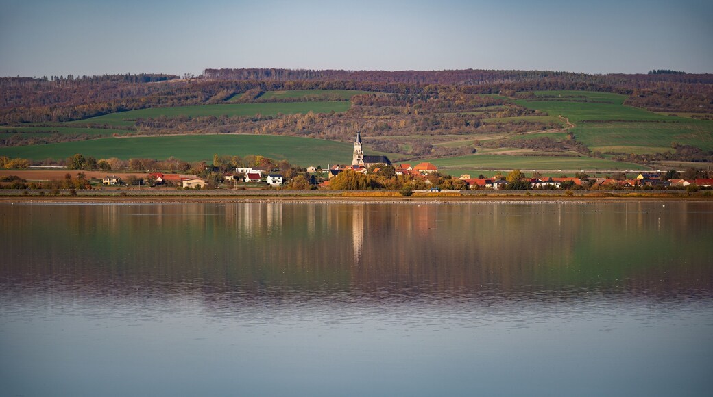 Arrondissement de Mansfeld-Harz-du-Sud