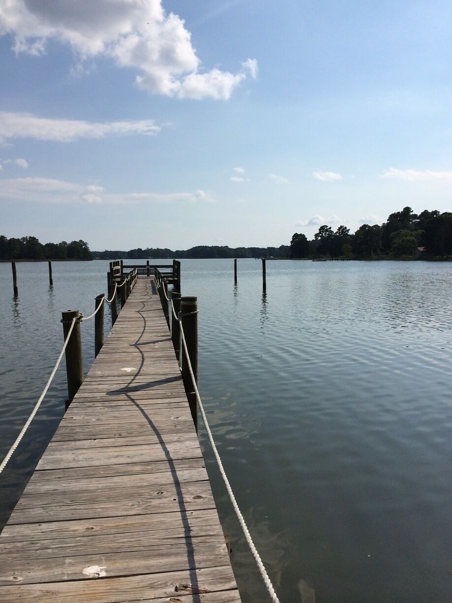 A wooden pier extending into calm water, surrounded by trees and a clear sky.