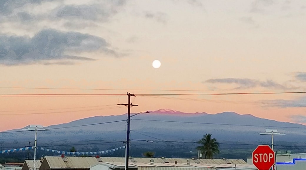 This may only be possible here; a snow capped mountain with palm trees in the foreground. And if that's not enough how about a brilliant full moon descending into the rosy warmth of sunrise?
#WinterWonders