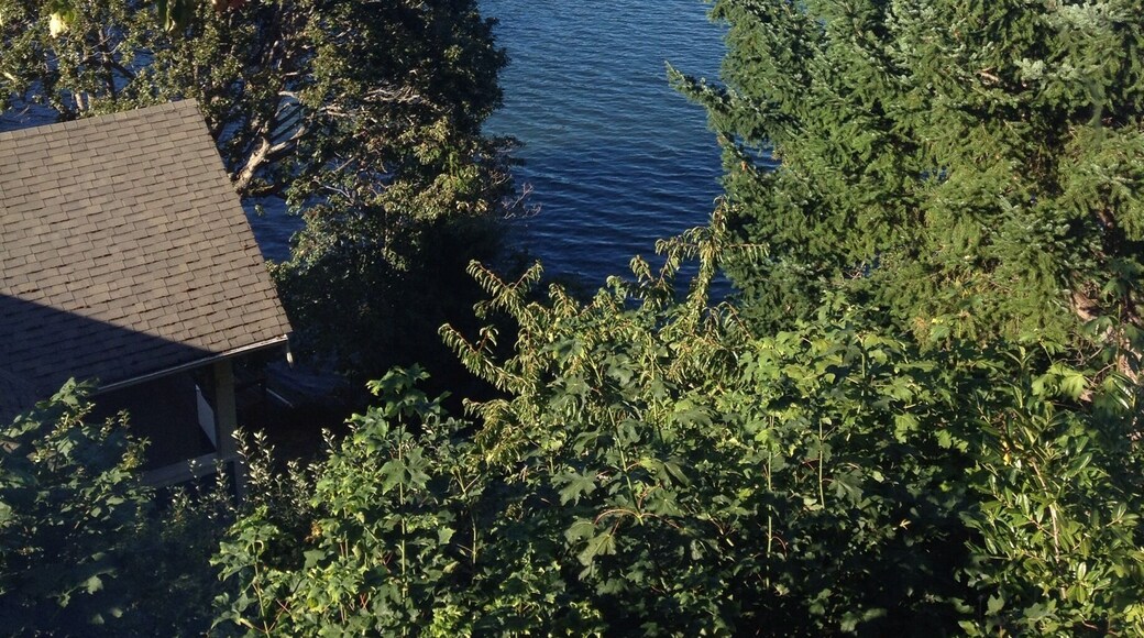 I can't get enough this view