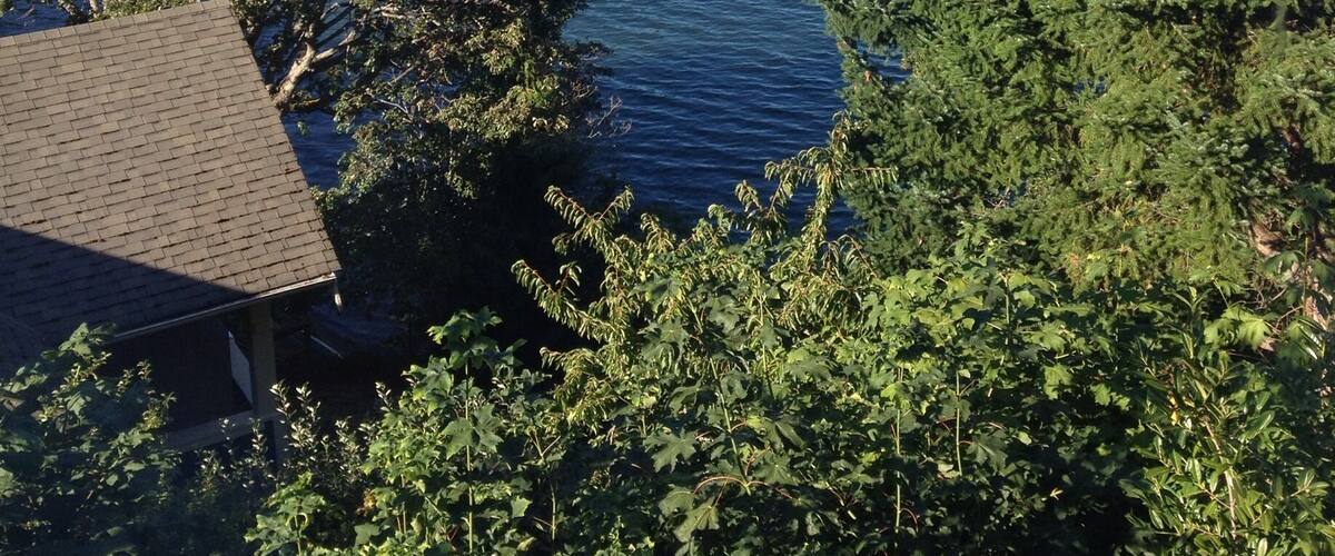 I can't get enough this view