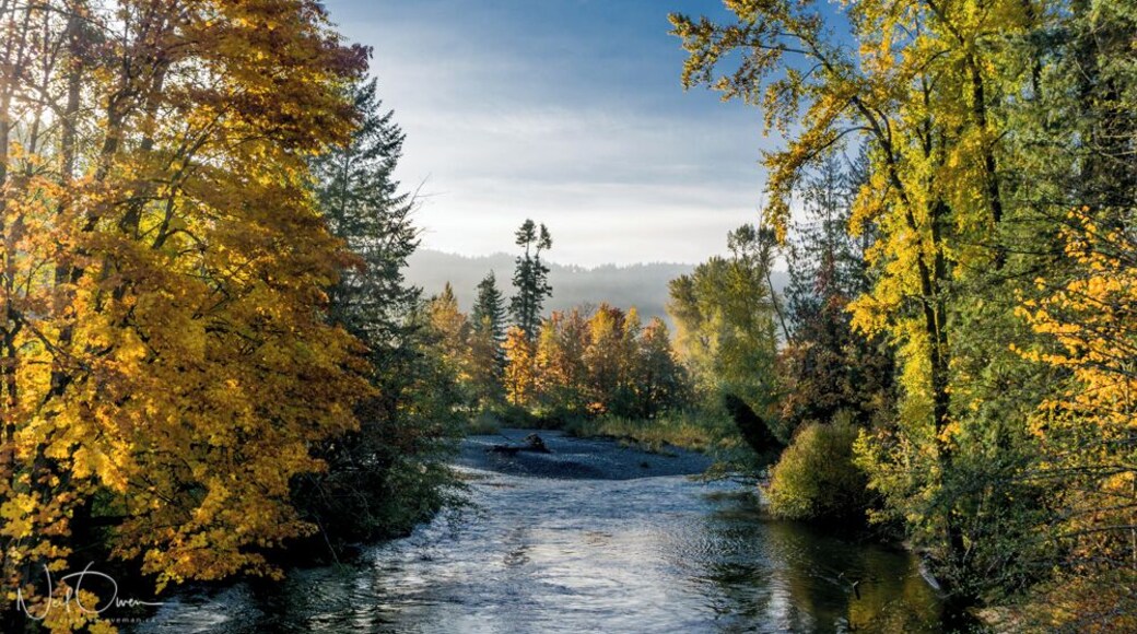 Good spot to stop for a picture of the chemainus river also adjacent to an old Cemetery