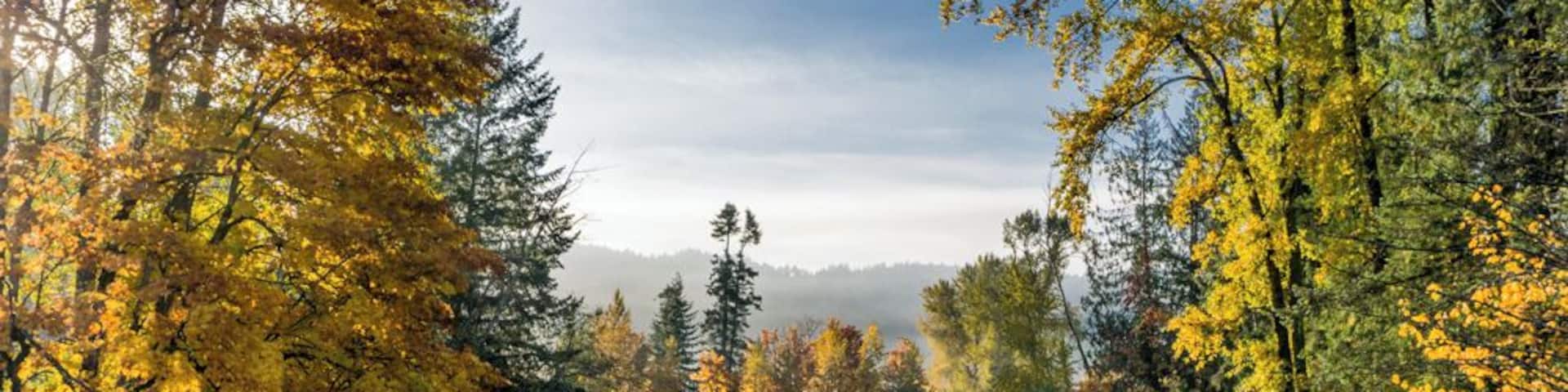 Good spot to stop for a picture of the chemainus river also adjacent to an old Cemetery