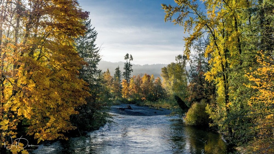Good spot to stop for a picture of the chemainus river also adjacent to an old Cemetery