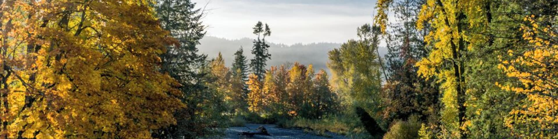 Good spot to stop for a picture of the chemainus river also adjacent to an old Cemetery