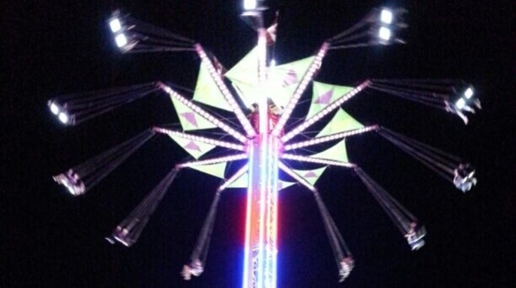 Ride at the Cowichan Fair. Pretty good view from up there.. ;)