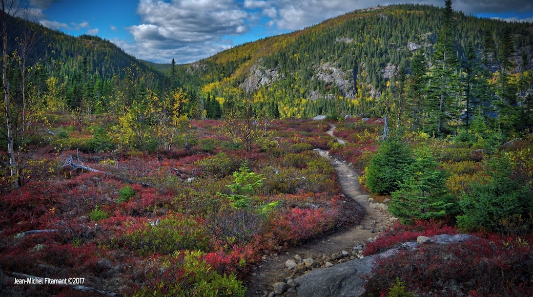 In the heart of Charlevoix.
