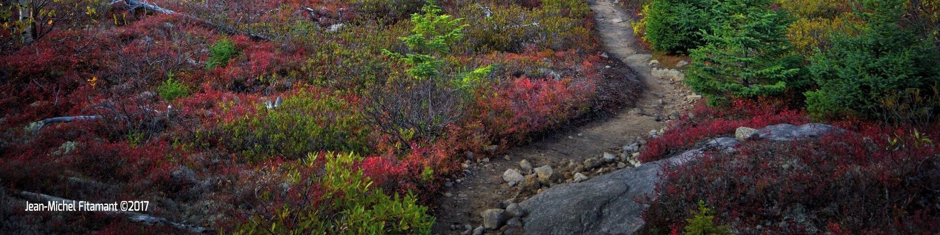 In the heart of Charlevoix.