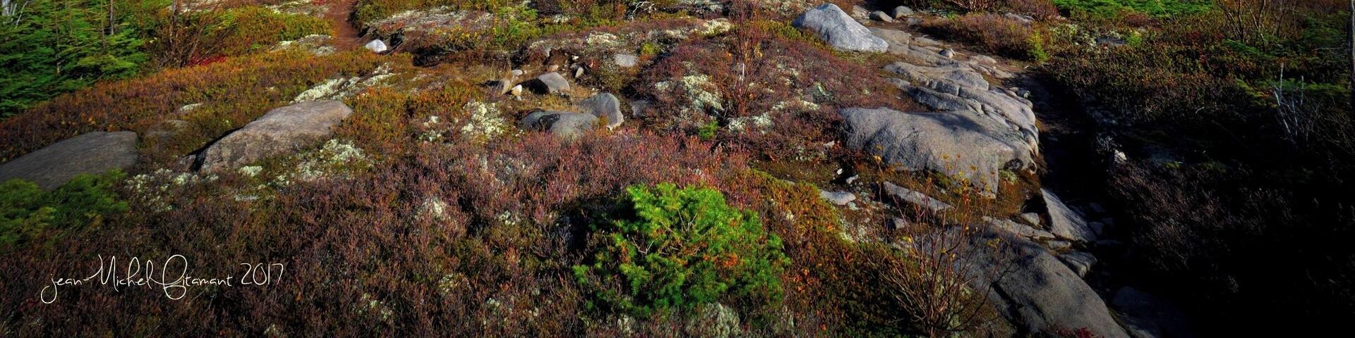 In the hart of Charlevoix.