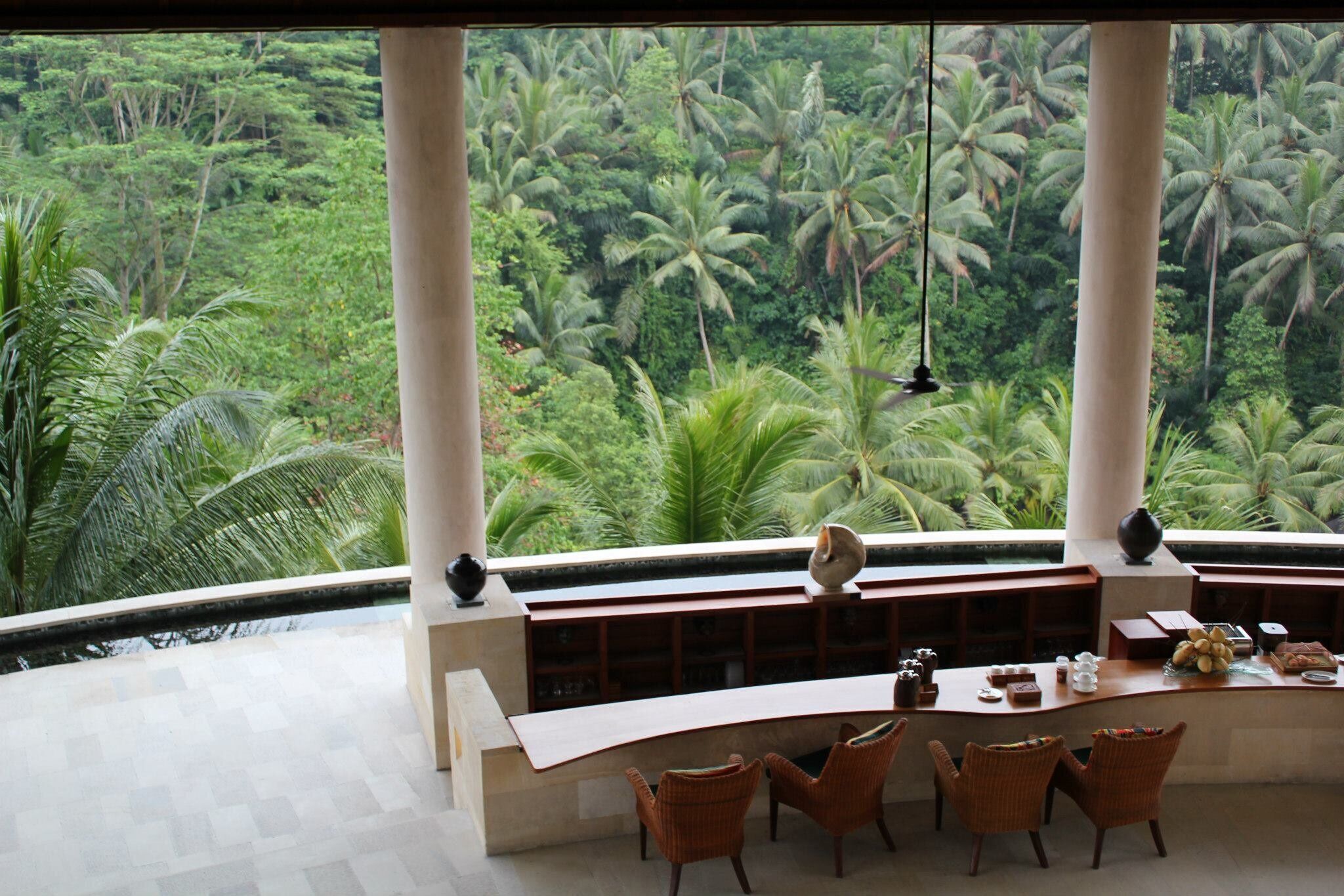 A modern interior with a curved reception desk, wicker chairs, and a view of a lush tropical forest.