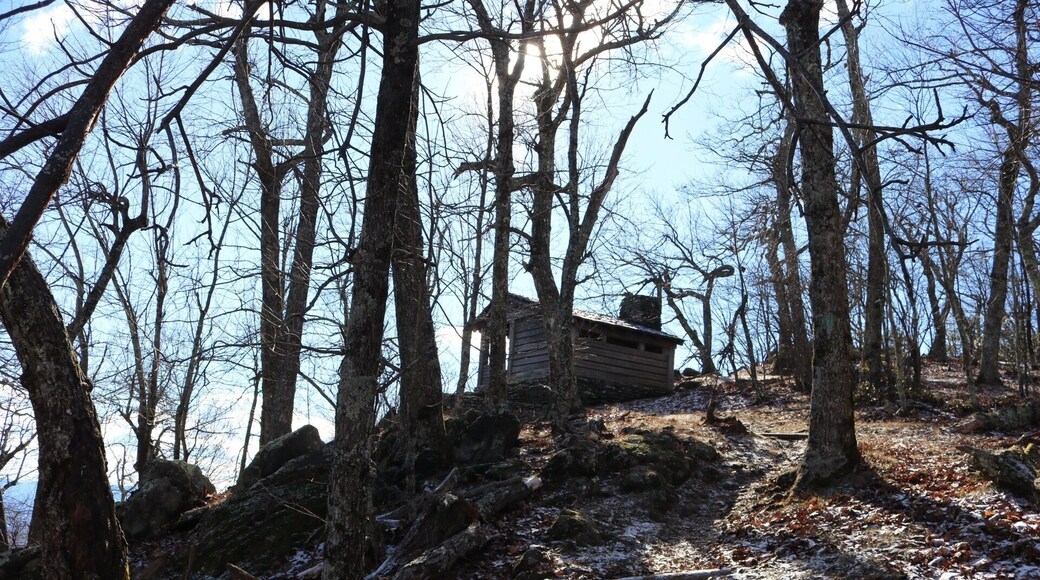 Rest stop near the Saddle Overlook. It is a very short walking distance from the Saddle overlook parking area.