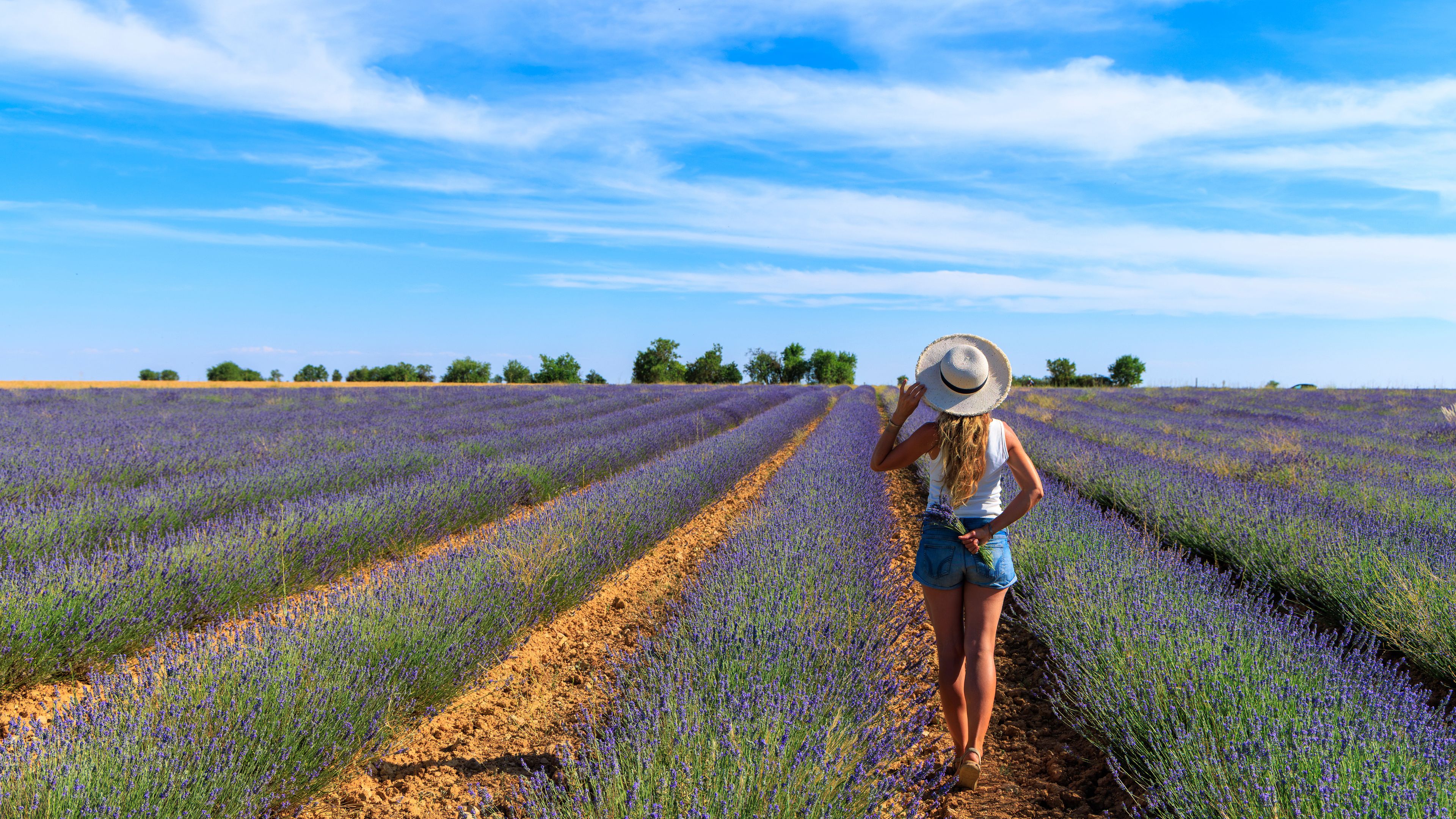 A woman walking through a lavender field with rows of lavender plants.