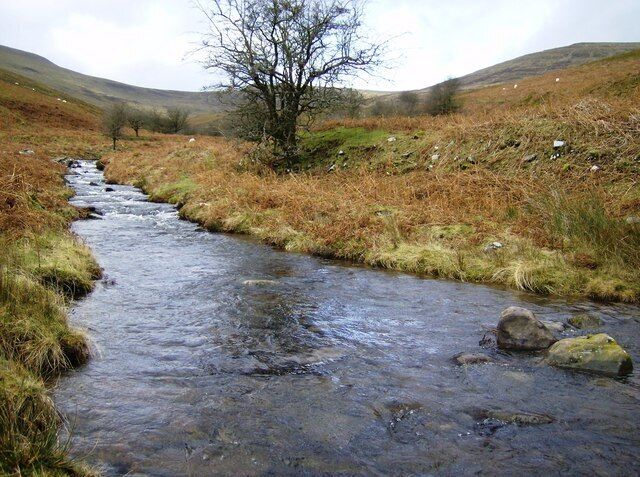 A narrow stream flowing through a grassy valley with scattered rocks and a leafless tree in the background.