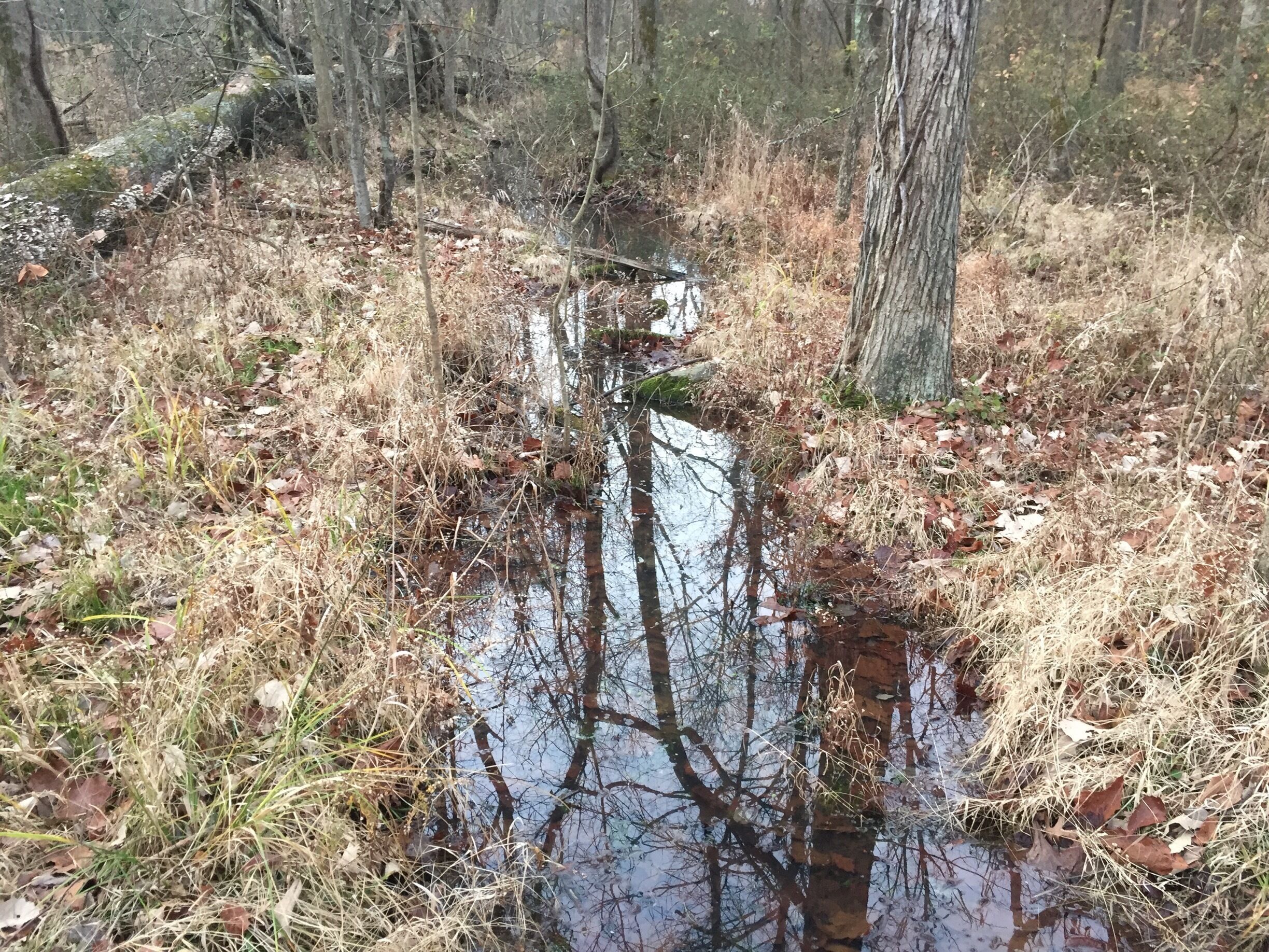 Small park in Virginia on outskirts of DC area.
