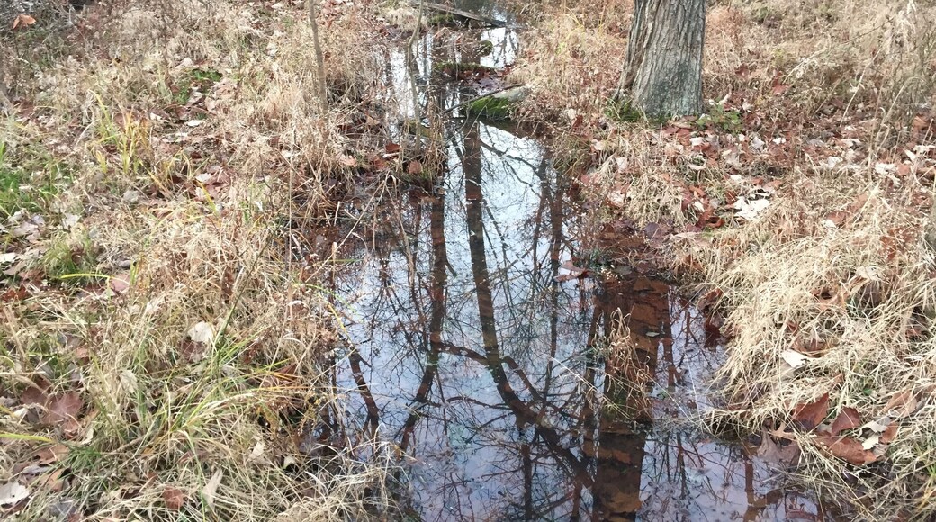 Small park in Virginia on outskirts of DC area.