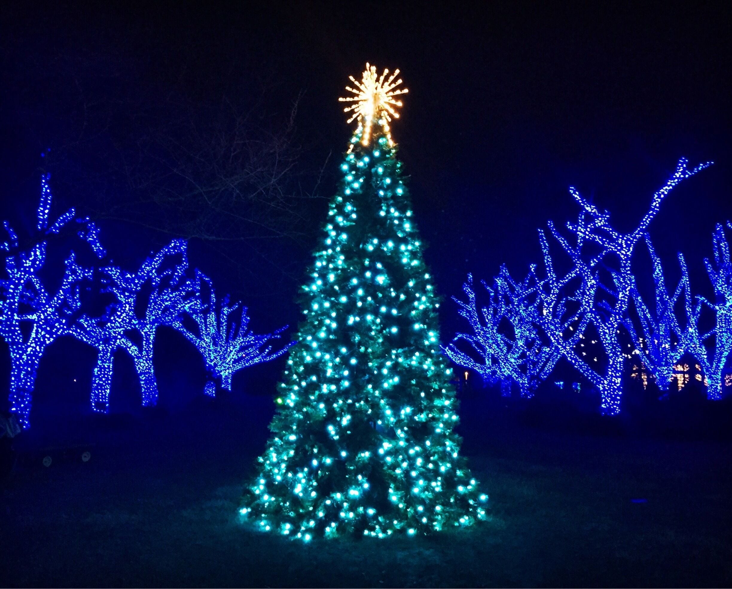 The Meadowlark Winter Walk of Lights is hard to show through photos because photos simply do not do it justice. The botanical gardens are lit by thousands of LED holiday lights, creating woodland, winter and Christmas imagery. $12 to enter (for adults) and easily a wonderful family activity. 
#virginia #holidays