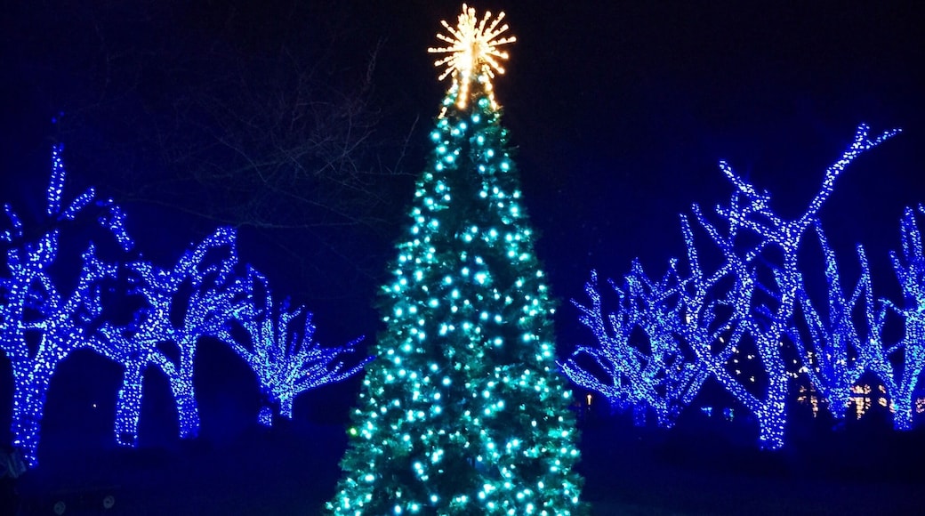 The Meadowlark Winter Walk of Lights is hard to show through photos because photos simply do not do it justice. The botanical gardens are lit by thousands of LED holiday lights, creating woodland, winter and Christmas imagery. $12 to enter (for adults) and easily a wonderful family activity.
#virginia #holidays